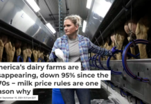 Running a dairy farm isn’t easy, especially when the costs of production rise faster than income. AP Photo/Charlie Neibergall